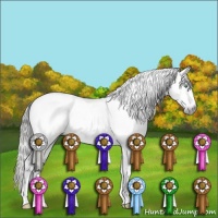 Horse Color:Gray Amber Cream Champagne Dun Sabino Tobiano
