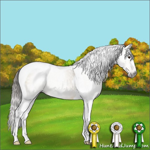 Horse Color:Gray Buckskin Dun Sabino Tobiano Varnish