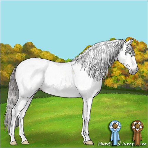 Horse Color:Gray Amber Champagne Dun Tobiano Appaloosa 