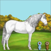 Horse Color:Gray Amber Champagne Dun Tobiano Appaloosa 