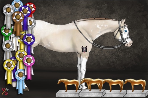 Horse Color:Grullo Pearl Sabino Splash 