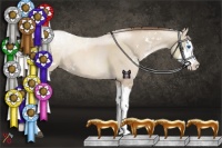 Horse Color:Grullo Pearl Sabino Splash 