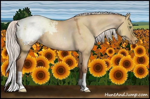 Horse Color:Silver Brown Pearl Dun Appaloosa 
