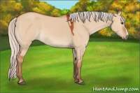 Horse Color:Silver Brown Dun