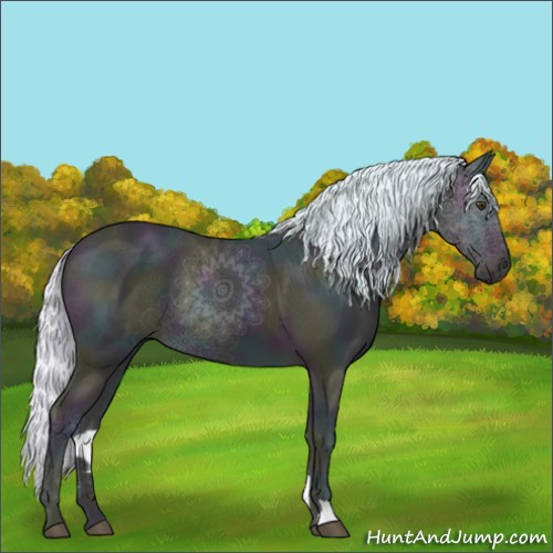 Horse Color:Watercolor Midnight Silver Buckskin Ice 