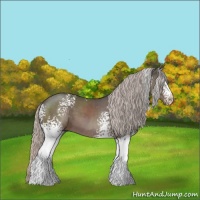 Horse Color:White Spotted Silver Black 