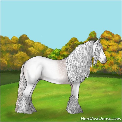 Horse Color:Gray White Spotted Silver Bay Sabino
