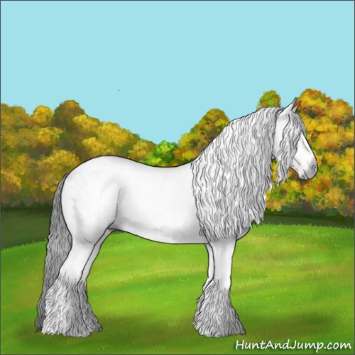 Horse Color:Gray White Spotted Brown Sabino