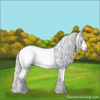 Horse Color:Gray White Spotted Silver Black Pearl 