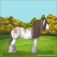 Horse Color:White Spotted Black Pearl 