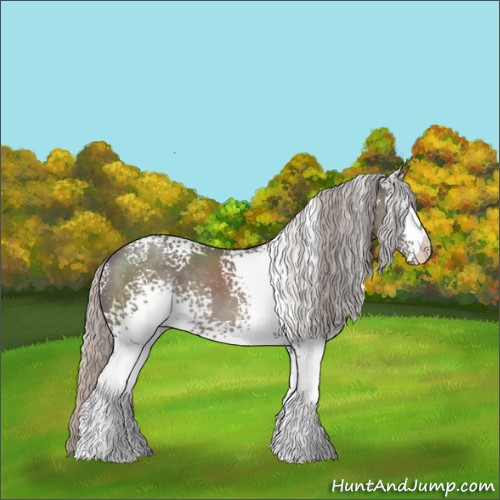 Horse Color:White Spotted Silver Black