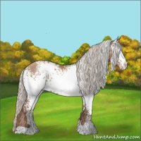 Horse Color:White Spotted Silver Black Pearl
