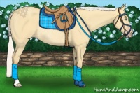 Horse Color:Silver Amber Cream Champagne Dun Rabicano 