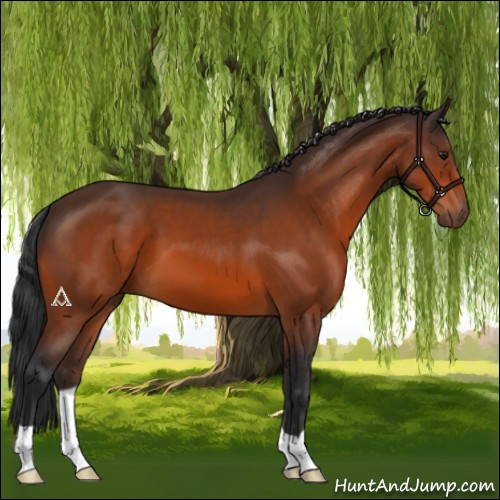 Horse Color:Brown 
