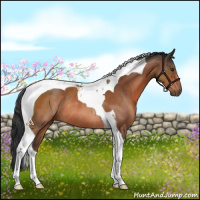 Horse Color:Brown Tobiano Rabicano
