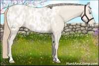 Horse Color:Smoky Creme Dun Near Leopard 