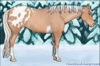 Horse Color:Silver Sable Champagne Sabino Tobiano Blanket 