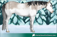 Horse Color:White Spotted Brown Dun Splash
