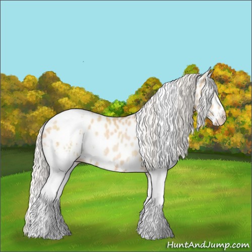 Horse Color:White Spotted Silver Buckskin Pearl Appaloosa 
