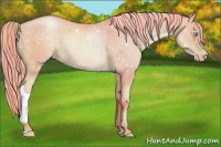 Horse Color:Watercolor Chocolate Palomino Pearl Appaloosa 