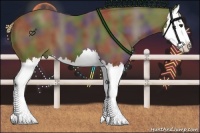 Horse Color:Nacre Chocolate Palomino Splash
