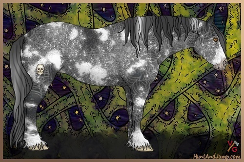 Horse Color:White Spotted Black Frame Rabicano 