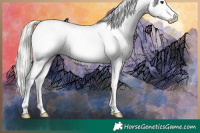 Horse Color:Silver Brown Dun Sabino Blanket