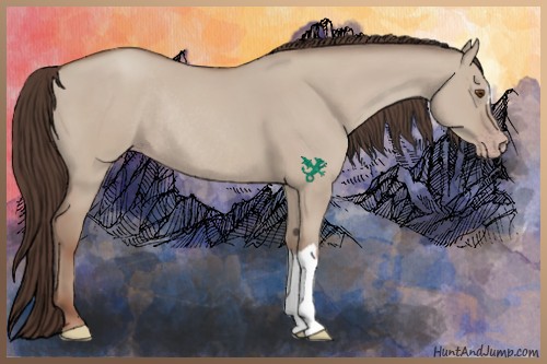 Horse Color:Classic Champagne Dun Rabicano 