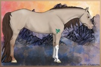 Horse Color:Classic Champagne Dun Rabicano 