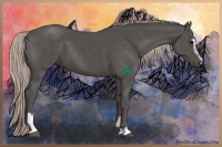 Horse Color:Silver Black Sabino 