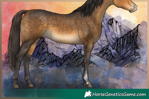 Horse Color:Buckskin Sabino 