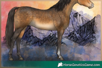 Horse Color:Buckskin Sabino