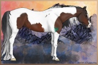 Horse Color:Brown Tobiano 