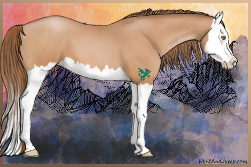 Horse Color:Bay Pearl Splash 