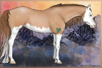 Horse Color:Bay Pearl Splash 