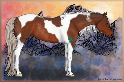 Horse Color:Silver Brown Tobiano Rabicano