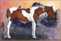 Horse Color:Silver Brown Tobiano Rabicano 