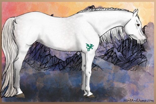 Horse Color:Gray Silver Bay Sabino