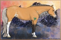 Horse Color:Silver Buckskin Sabino 