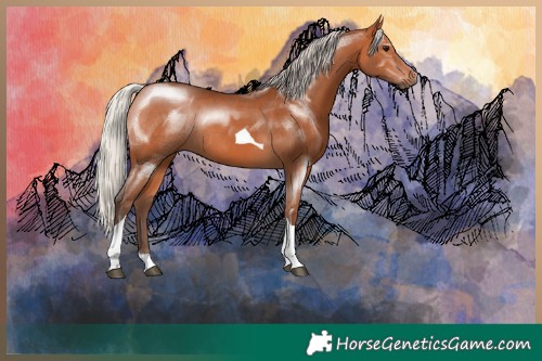 Horse Color:Silver Bay Tobiano Rabicano 