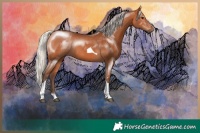 Horse Color:Silver Bay Tobiano Rabicano 