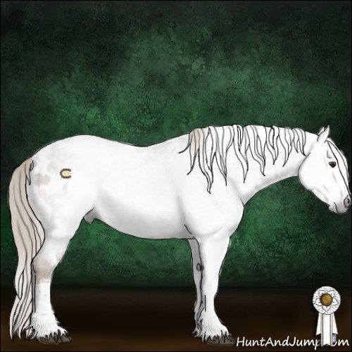Horse Color:Gray White Spotted Liver Chestnut Mushroom Appaloosa 