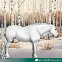 Horse Color:Gray White Spotted Silver Buckskin Dun Blanket
