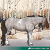 Horse Color:Liver Red Roan Tobiano 