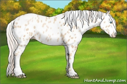 Horse Color:Palomino Pearl Leopard 