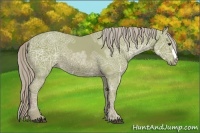 Horse Color:Watercolor Chestnut Ice 