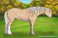 Horse Color:Watercolor Silver Bay Ice
