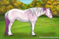 Horse Color:Watercolor Red Dun Ice Onyx Tobiano Rabicano 