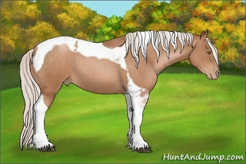 Horse Color:Silver Brown Pearl Tobiano 