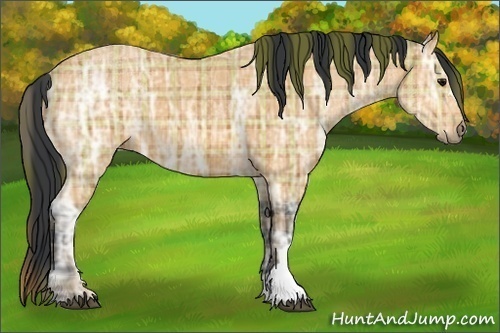 Horse Color:Plaid  Bay Ice 